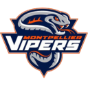 Montpellier Vipers