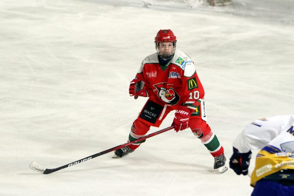Maillot D2 réplique – Image 4
